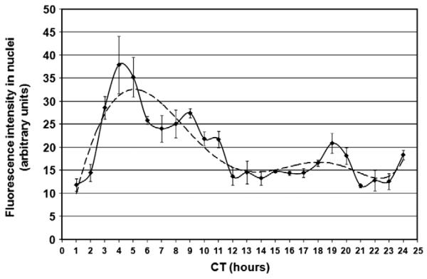 Fig. 8