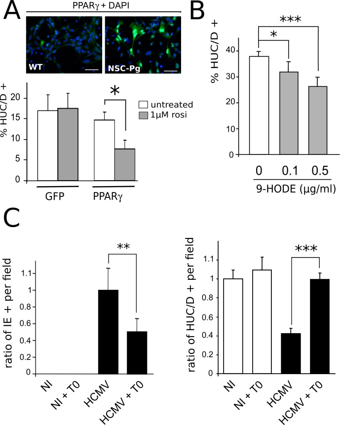 Fig 8