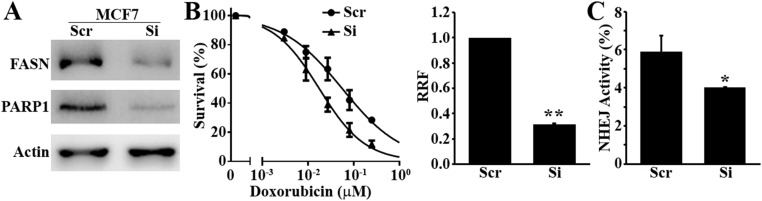 Fig. S6.