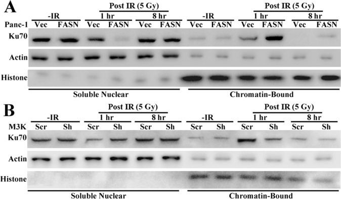 Fig. S4.