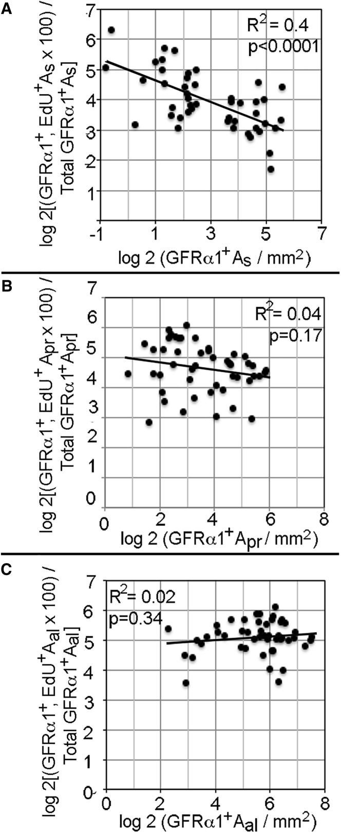 Figure 5