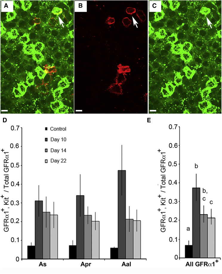 Figure 4