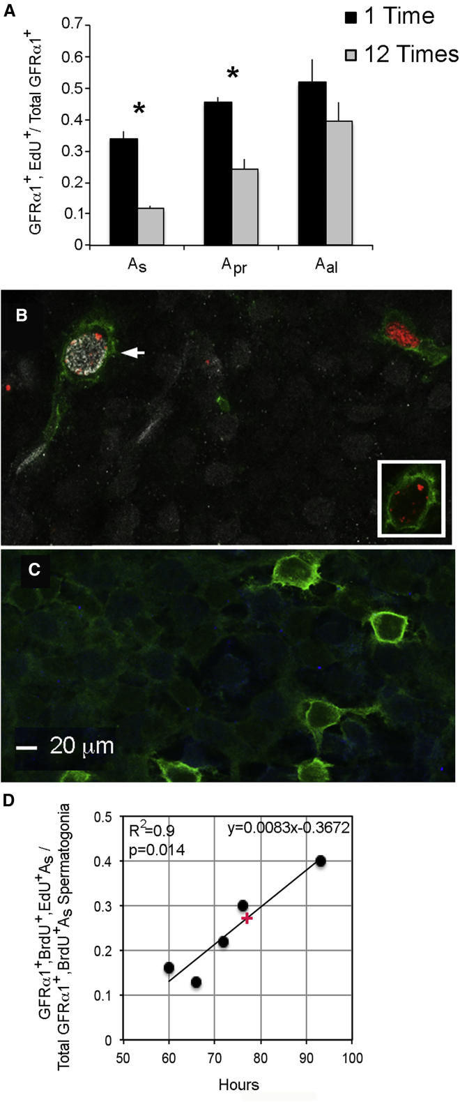 Figure 3