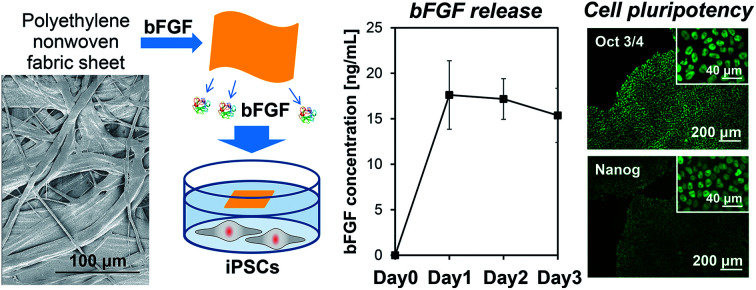 graphic file with name c9ra06906b-ga.jpg