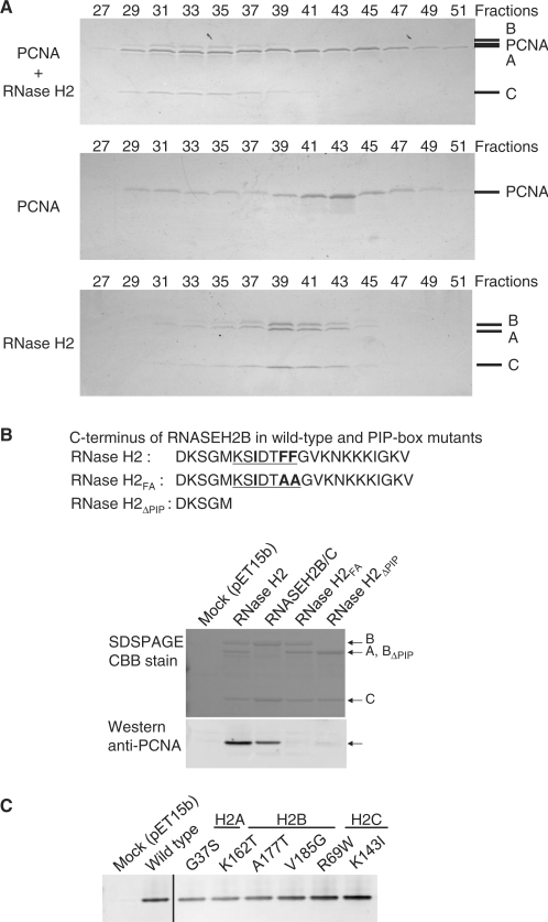 Figure 7.