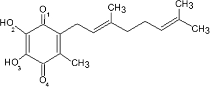 Fig. 6
