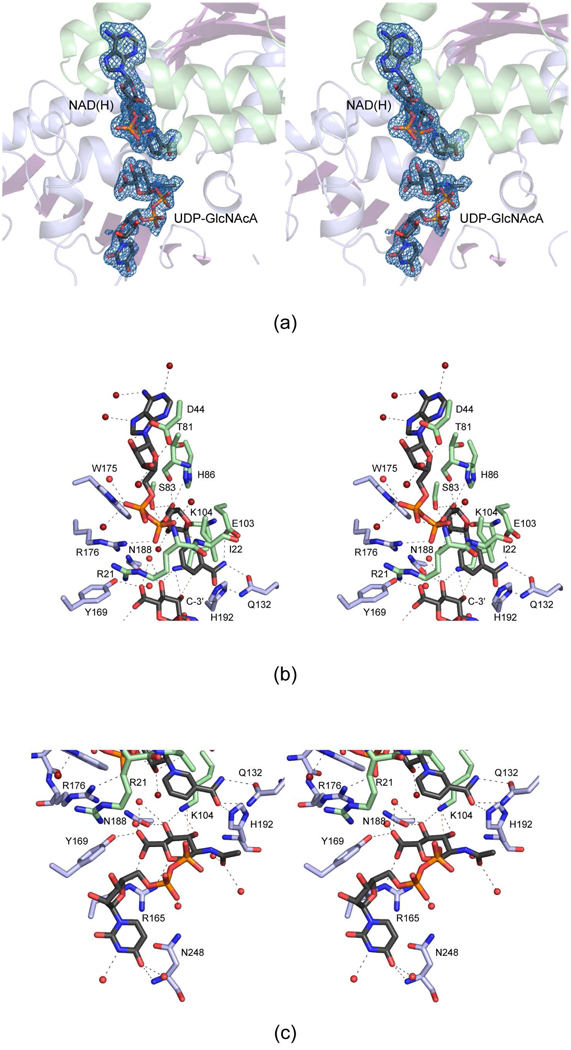 Figure 5