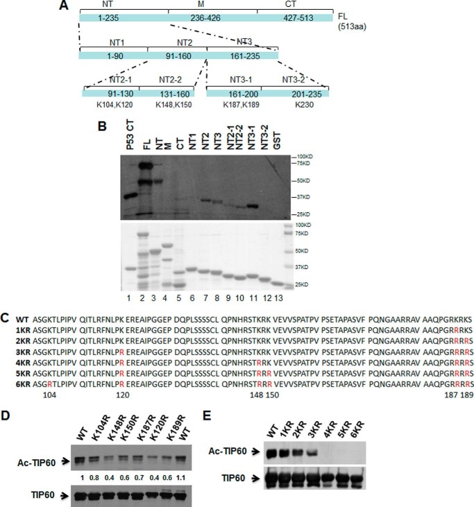 FIGURE 1.