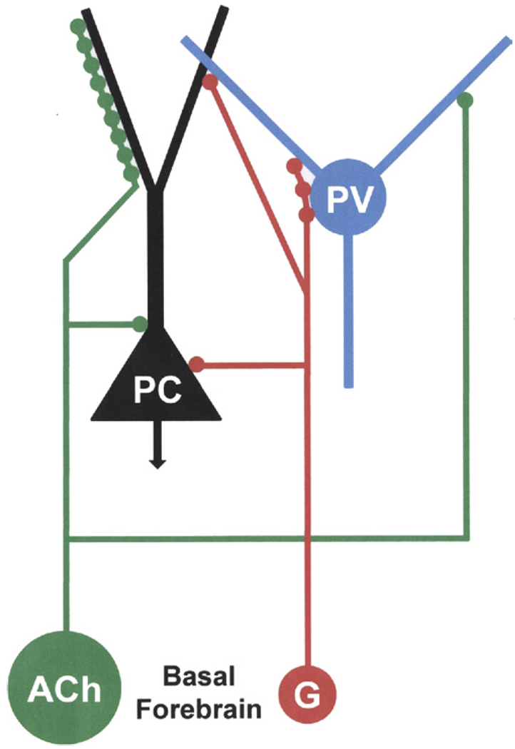 Fig. 11