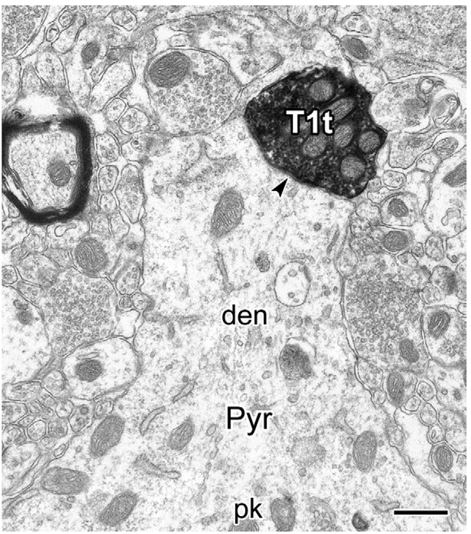 Fig. 9