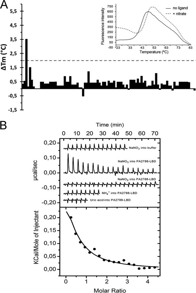 FIG 1