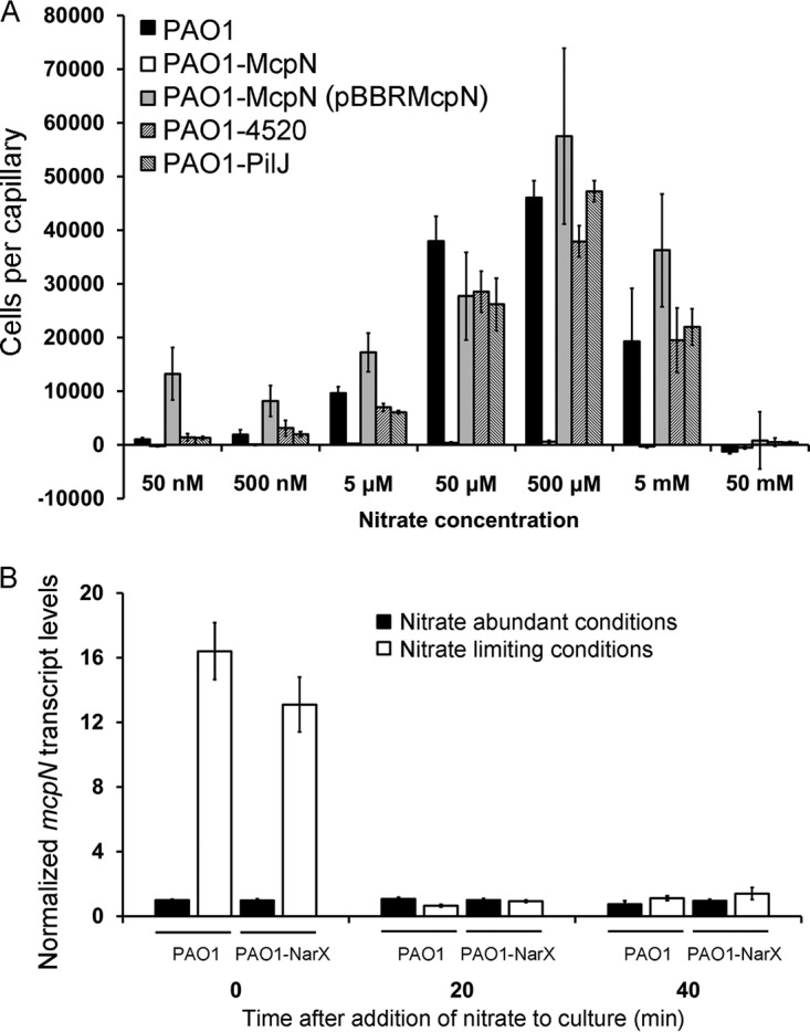 FIG 2