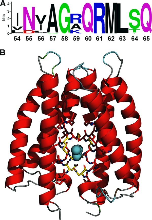 FIG 5