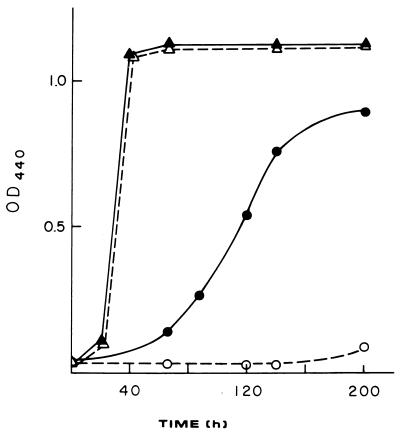 FIG. 5