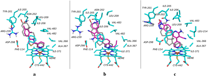 Figure 7