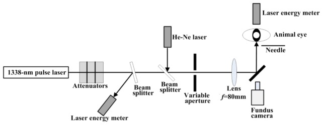 Fig. 2