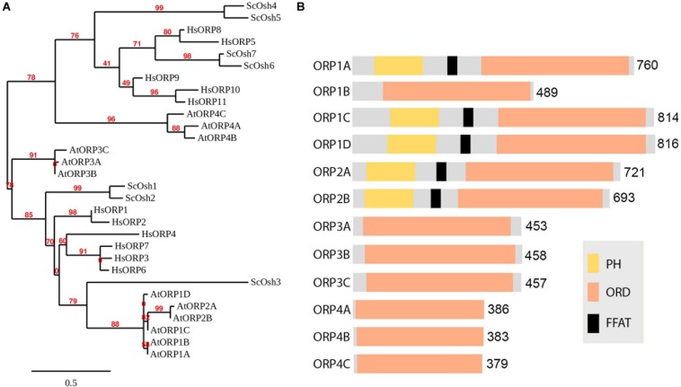 FIGURE 2