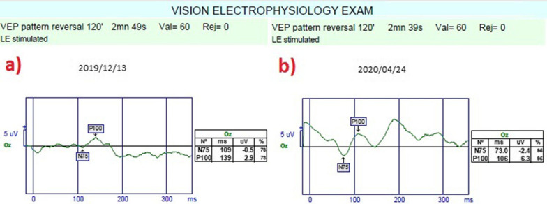 Fig. 9