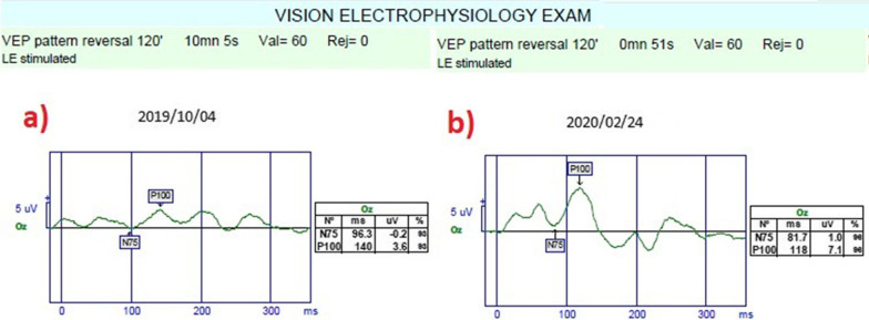 Fig. 10