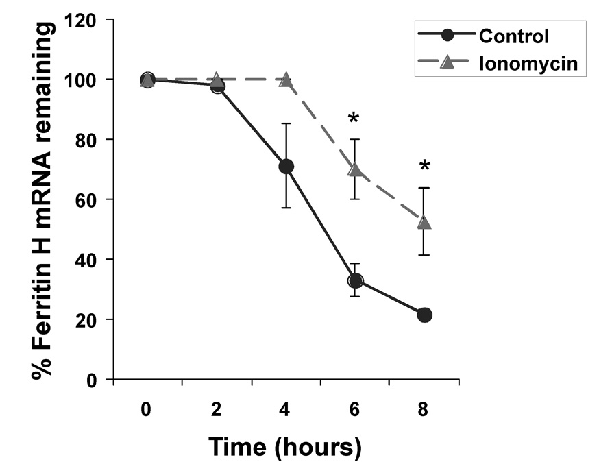 Fig. 6