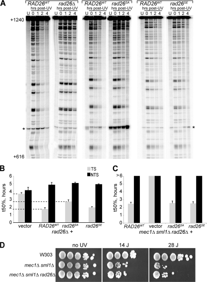 FIG. 5.