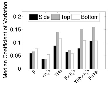 Fig. 10