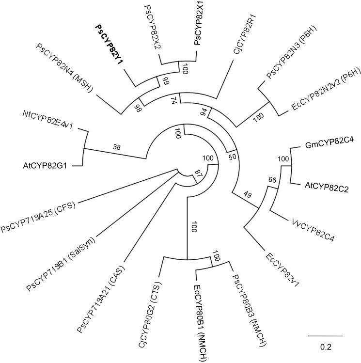 FIGURE 3.