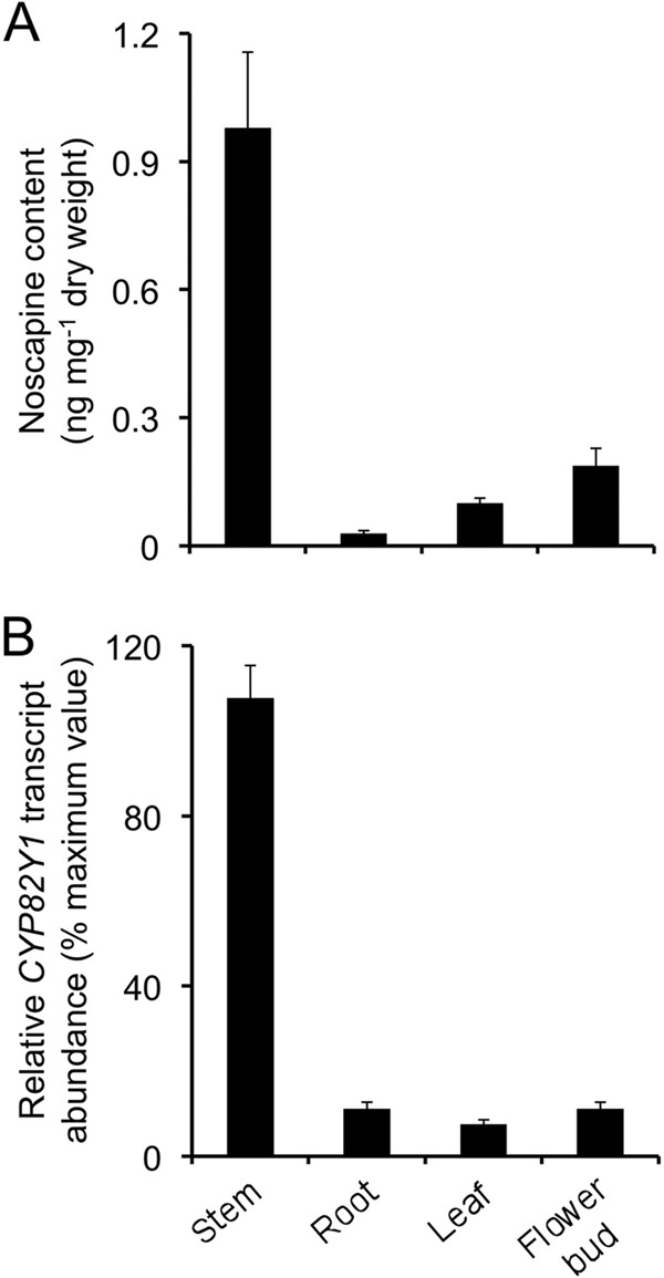 FIGURE 9.