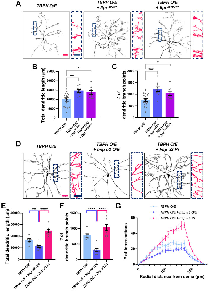 Figure 6—figure supplement 1.