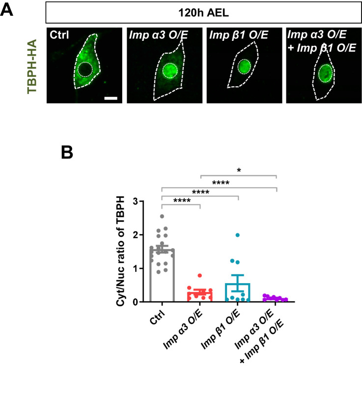 Figure 4—figure supplement 2.