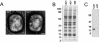 FIG. 6.