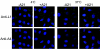 FIG. 8.