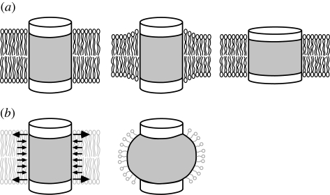 Figure 1.