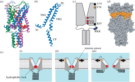 Figure 3.