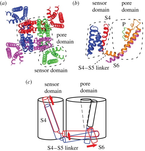 Figure 5.