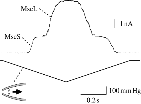 Figure 2.