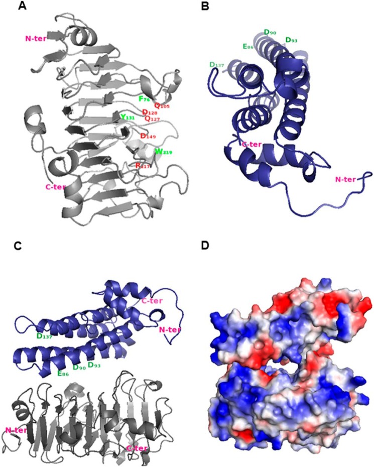 FIGURE 7.