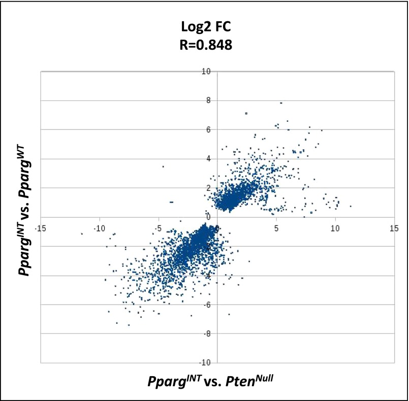 Fig. S2.