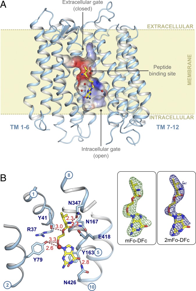 Fig. 1.