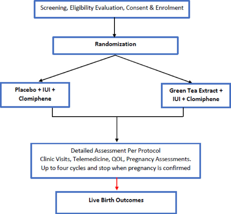 Fibroids and unexplained infertility treatment with epigallocatechin ...