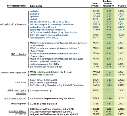 graphic file with name cc1017_3016_fig007.jpg