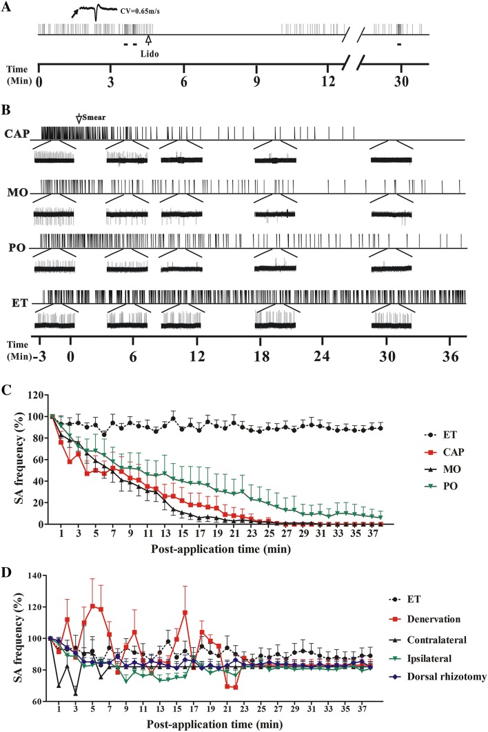 Fig. 4