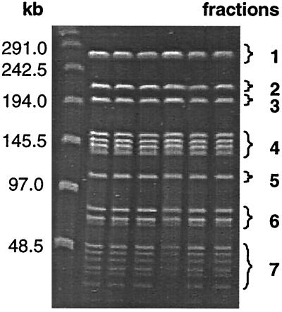 FIG. 7