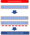 Figure 5.