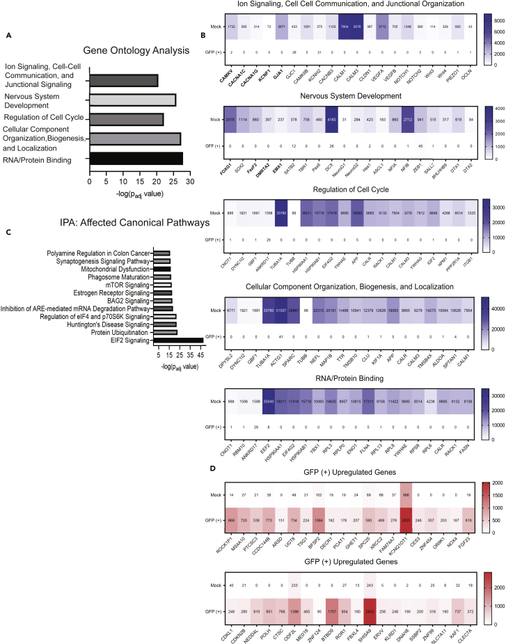 Figure 4