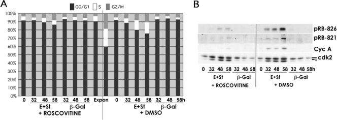 FIGURE 10.