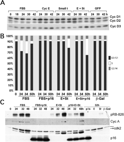 FIGURE 4.