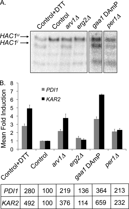 FIGURE 4.