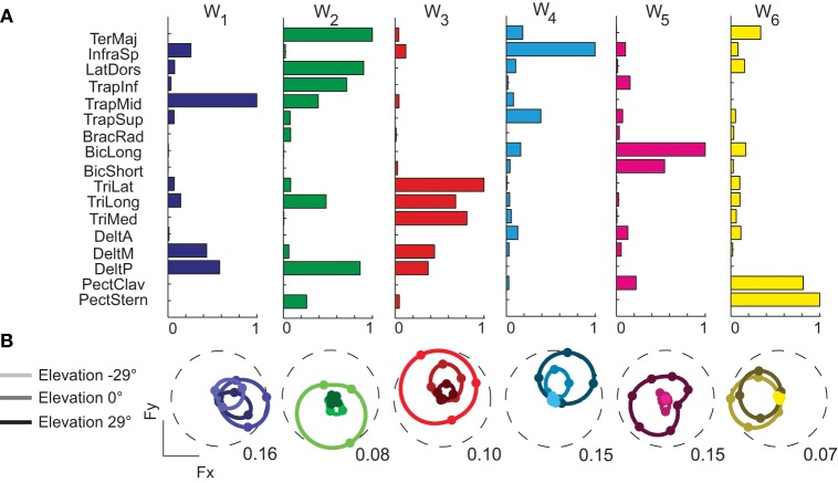 Figure 5