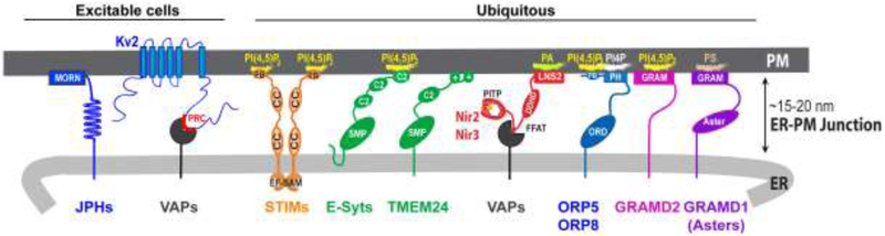 Figure 2.